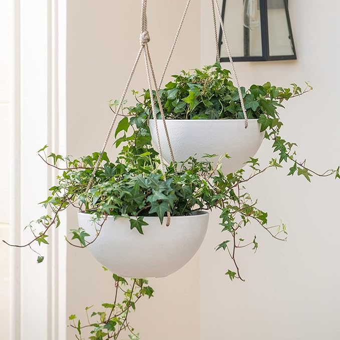 LA Jolie Muse Hanging Planter - Image 3