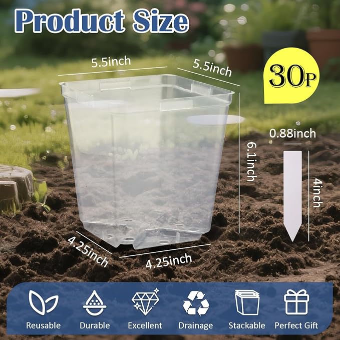 5.5 Inch Clear Square Nursery Pots - Image 3