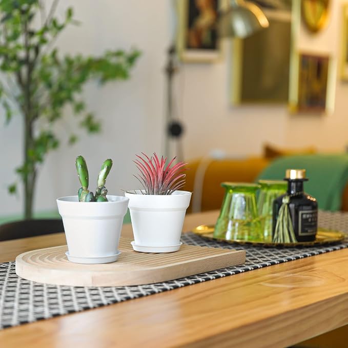 T4U 4 Inch Plant Pots 18-Pack, Small Flower Pots - Image 7
