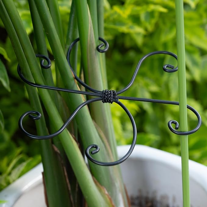 Black Monstera Plant Support Hook - Image 6