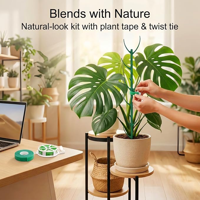 10-Pack Monstera Plant Support Stakes - Image 5