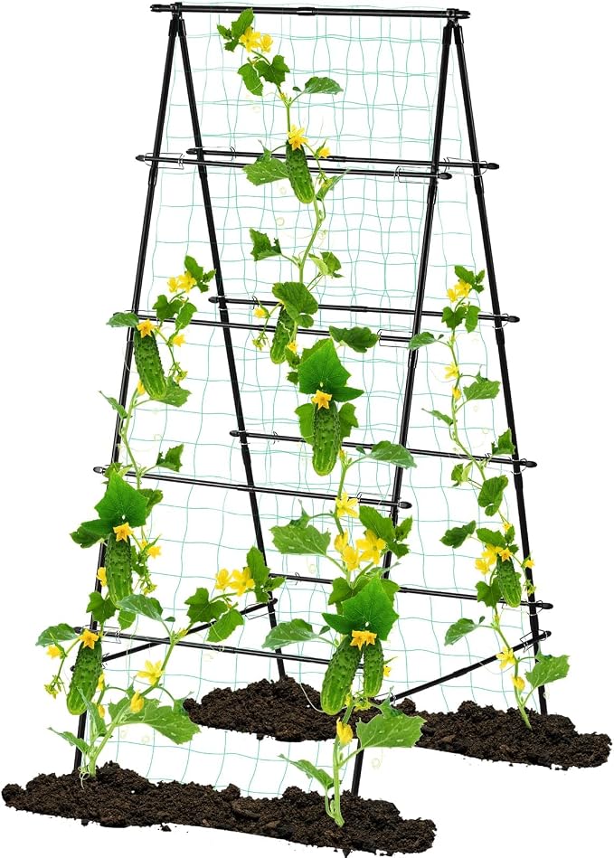 Garden Trellis for Climbing Plants, by yotoworthgardenhome