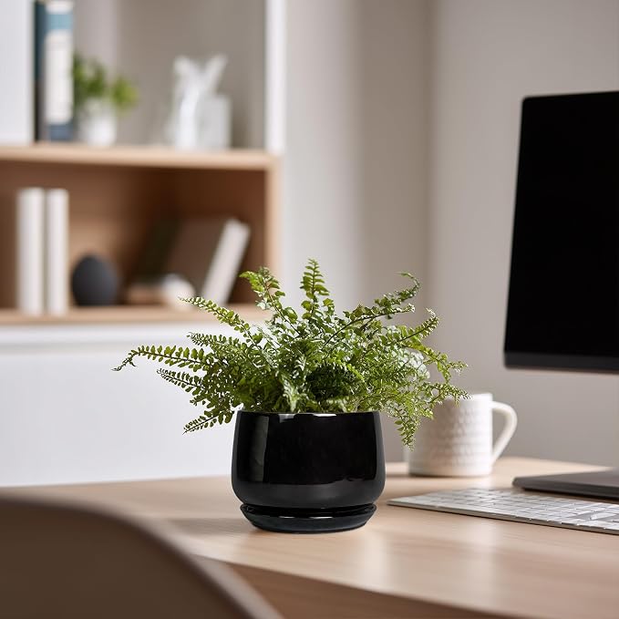 G EPGardening Small Ceramic Planter - Image 7