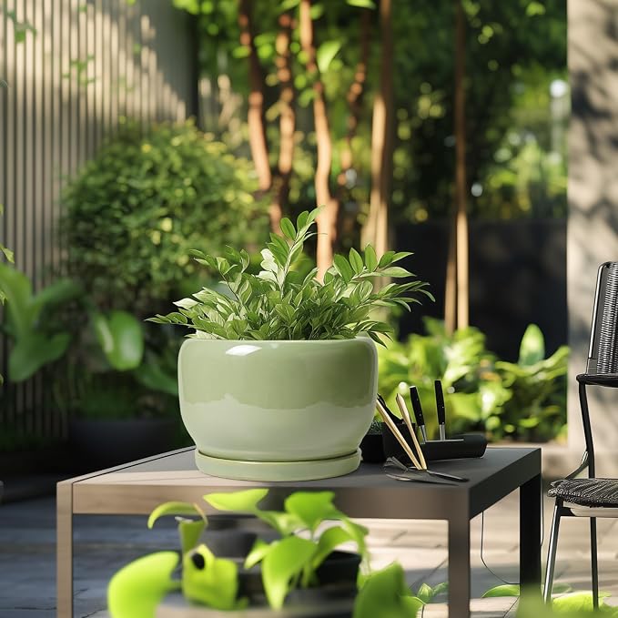 SQOWL Ceramic Planter - Image 5