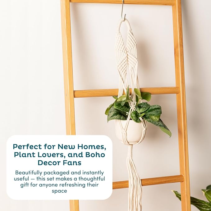 Nook Theory 6-Pack Macrame Plant Hangers - Image 8
