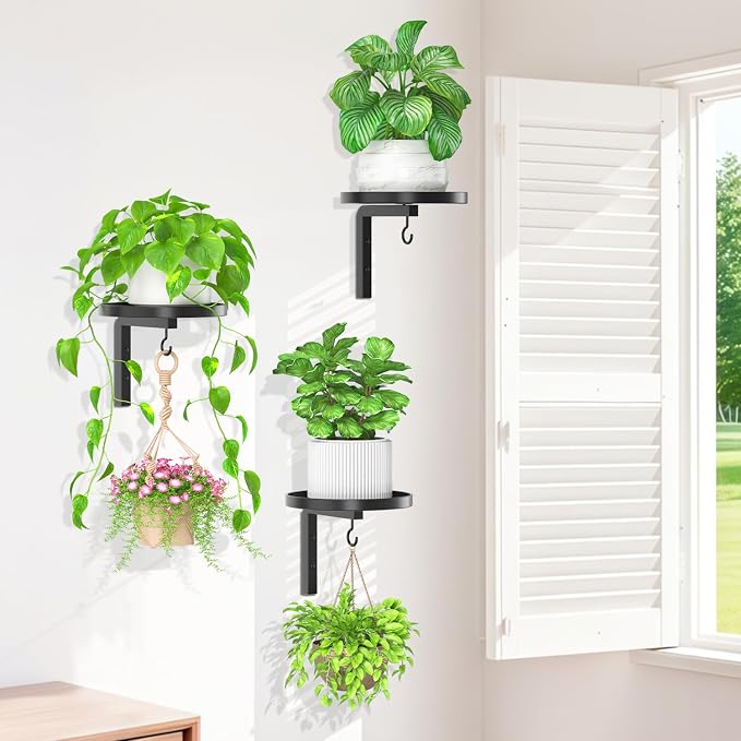 iDavosic.ly Wall Plant Holder Set of 3 - Image 7