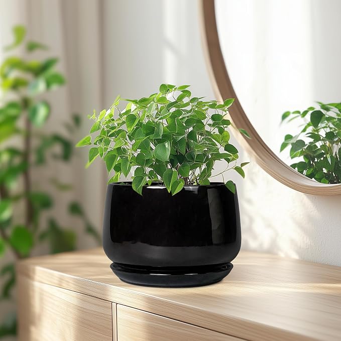G EPGardening Ceramic Planter 7 Inch - Image 6
