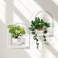 Wall Planters for Indoor Plants Window Plant Shelves Set of 2 by STORENIZATION