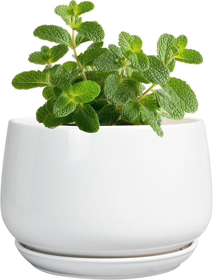 G EPGardening Ceramic Plants Pots by GEPGardening