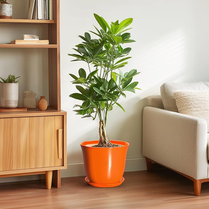 10 Inch Plant Pot - Image 4