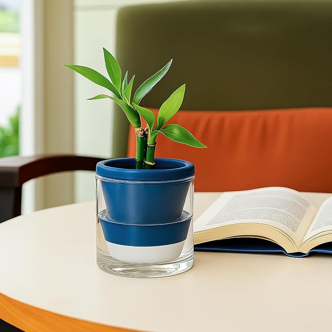 D'vine Dev 4 Inch Design Self Watering Planter - Image 6