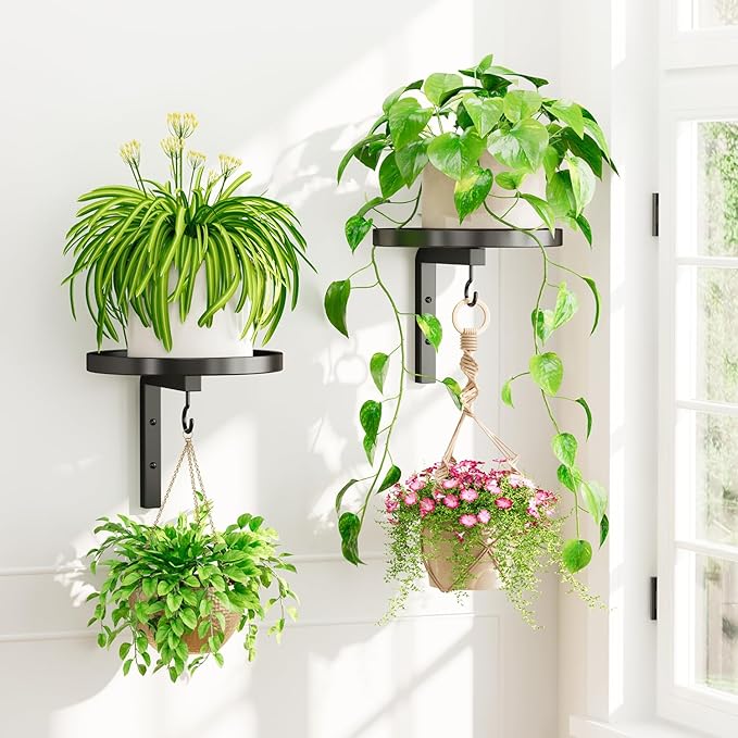 iDavosic.ly Wall Plant Holder Set of 2 by iDavosicly