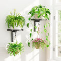 iDavosic.ly Wall Plant Holder Set of 2 by iDavosicly