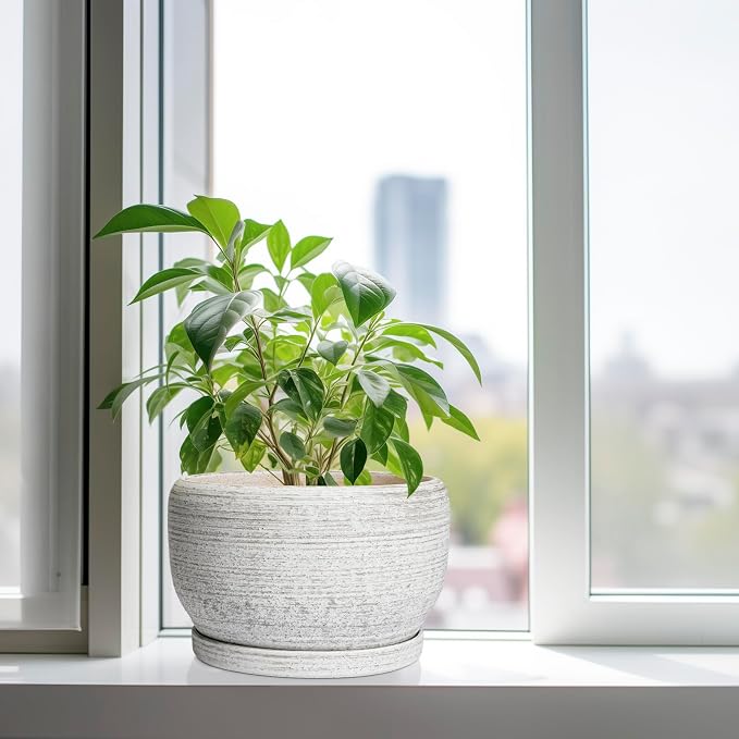 SQOWL Ceramic Flower Pots - Image 4