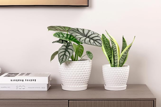 Docrin Ceramic Plant Pots Set of 2, High-Fired Clay Indoor Planters - Image 8