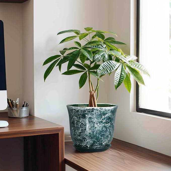 8 Inch Plant Pot - Image 3