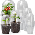 MIXC Clear Nursery Pots with Humidity Domes, 5/4/3.5 Inch Reinforced by MIXC