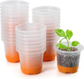 MIXC Thickened Clear Nursery Pots by MIXC