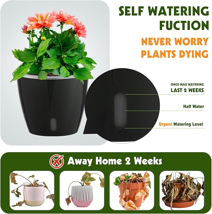 Self-Watering Pots for Indoor Plants, Small African Violet Pots - Image 2