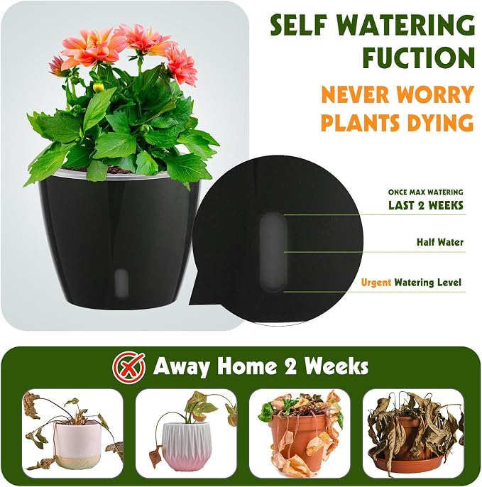 Self Watering Pots for Indoor Plants, Small African Violet Pots - Image 2