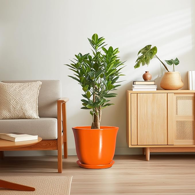 12 Inch Pots for Plants - Image 7