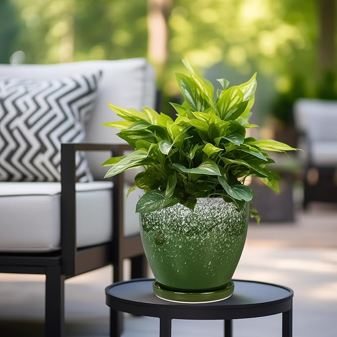 Ceramic Pots for Plants - Image 4