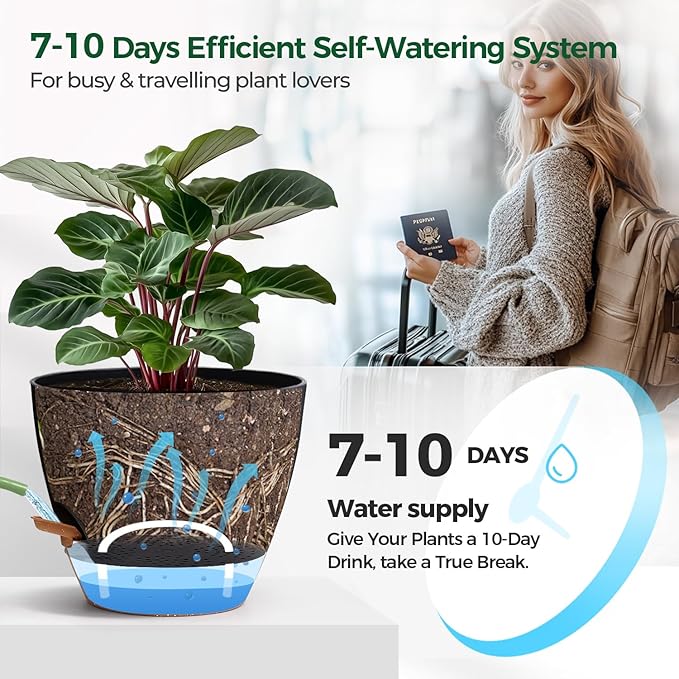 T4U 6 Inch Self Watering Pots for Indoor Plants - Image 4