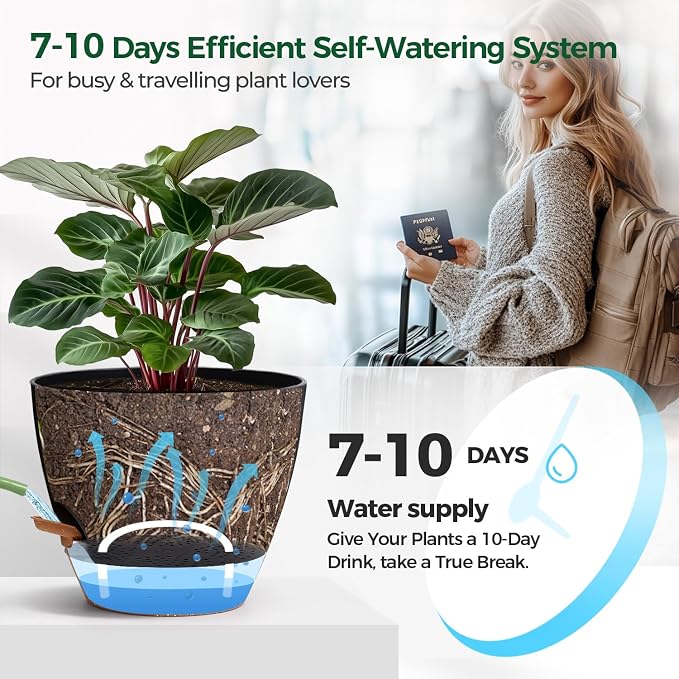 T4U 2 Pack 8 Inch Self Watering Pots - Image 5