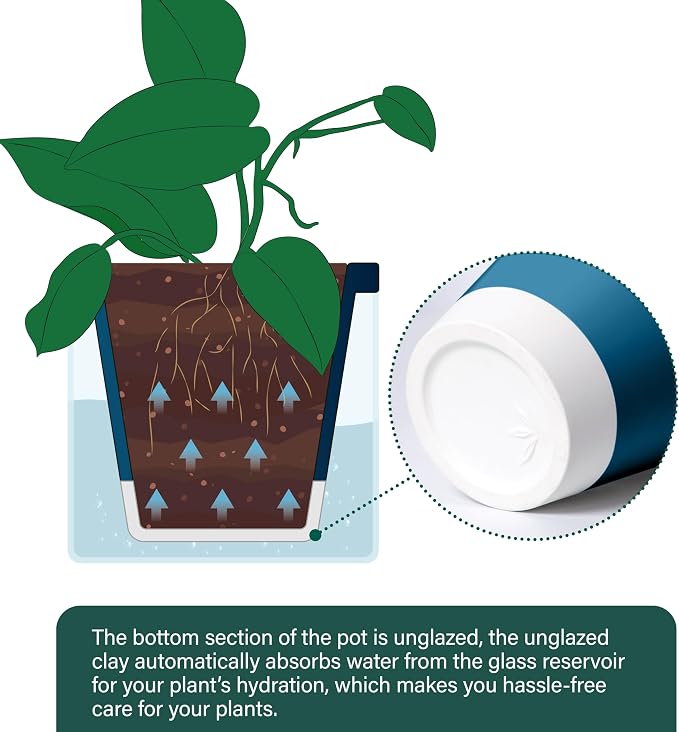 D'vine Dev 8 Inch Design Self Watering Planter - Image 5