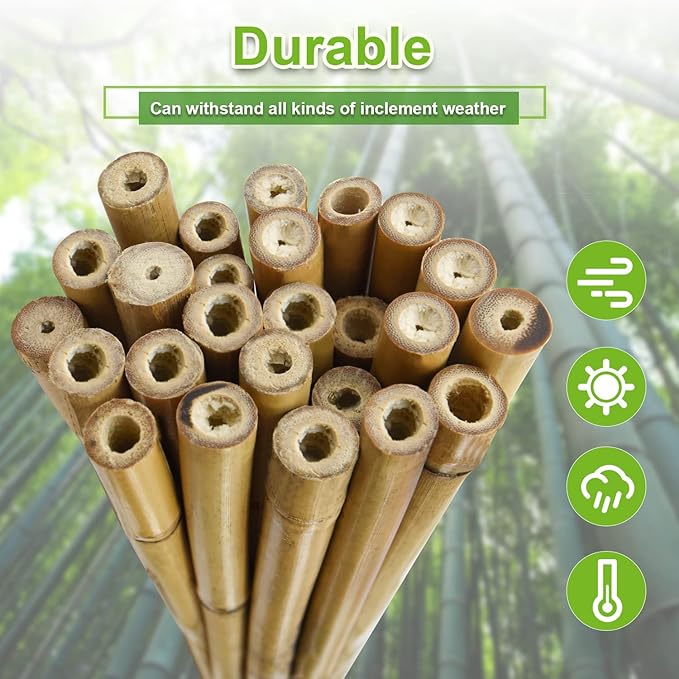 15pcs 3/4" D Thicker Heavy Duty Bamboo Stakes, 7FT Plant Stakes, Natural Garden - Image 4