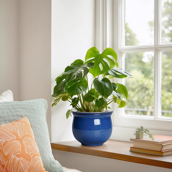 6 Inch Self Watering Pots, Ceramic African Violet Planter - Image 4