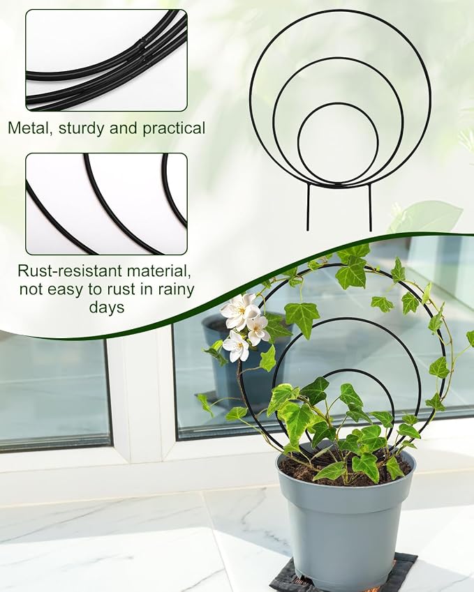 3 Pcs Unique Round Hoya Garden Trellis, Different Small Houseplant Trellis - Image 3