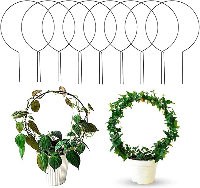 Acrux7 10 Pcs Circle Indoor Plant Trellis by WelcometoAcrux7