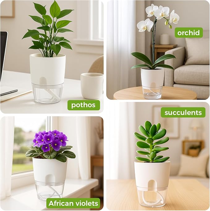 Planterhoma 8 Pack Self Watering Pots - Image 9