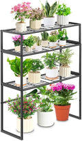 Metal Plant Stand Indoor Outdoor, 3 Tier Potted Multiple Flower Pot Holder Rack by Gouisalin