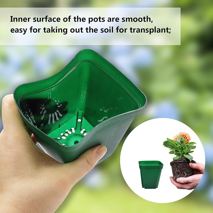 Square Nursery Succulent Pots 4 Inches 60 Pcs Deep Flower Plant Nursery - Image 3