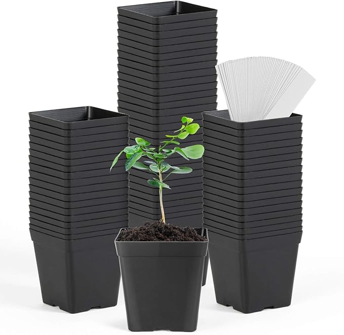 June Fox Square Nursery Pots 3.3 Inches Flexible Plastic Seedling Pots Square by June+Fox