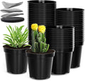 40 Pack 4 Inch Plant Nursery Pots by RooTrimmer