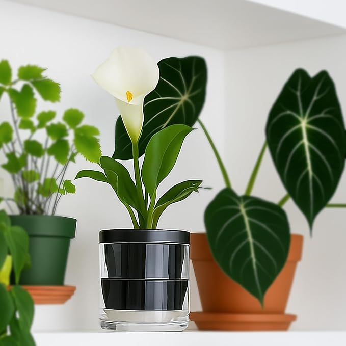 D'vine Dev 4 Inch Design Self Watering Planter - Image 2