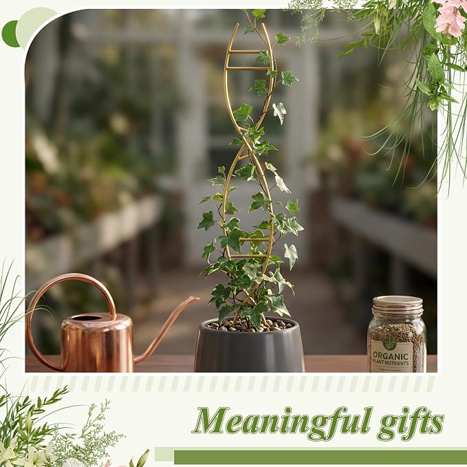 3 Pcs 15.75 Inch Indoor Plant Trellis - Image 6