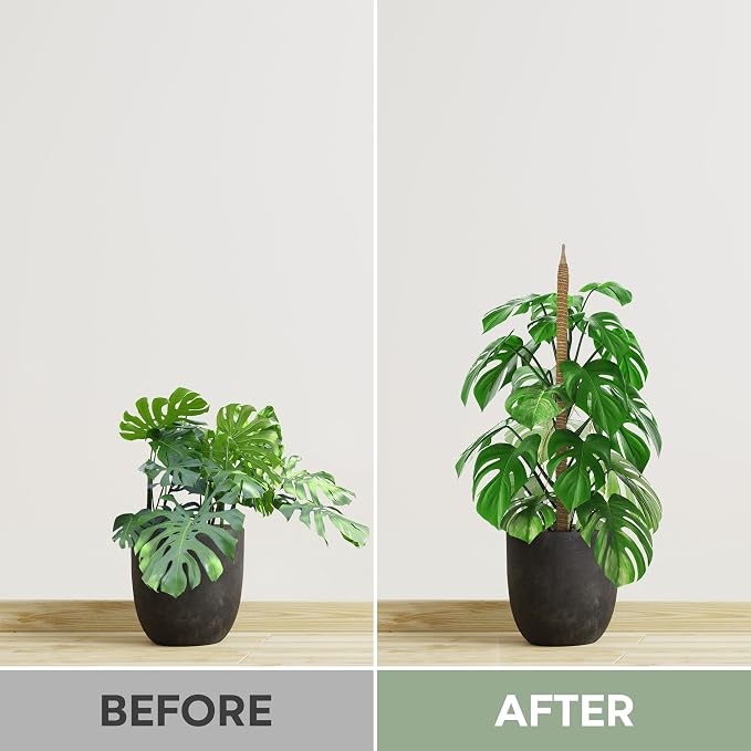 2 Pack 28'' Bendable Moss Pole Monstera Plant Support - Image 6