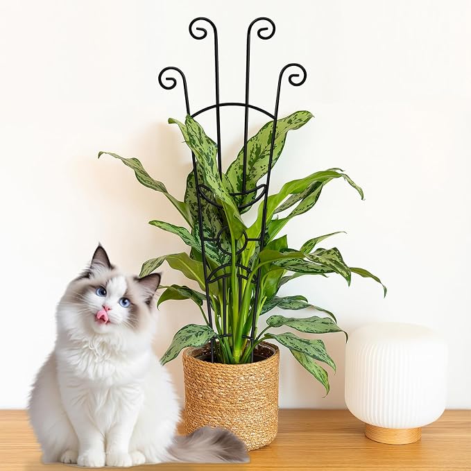 32.6in Monstera Plant Support Stakes - Image 9