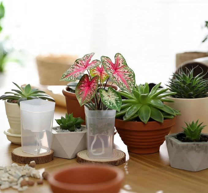 LemonRoad 20 Pack 2.5" Small Self Watering Pots - Image 6