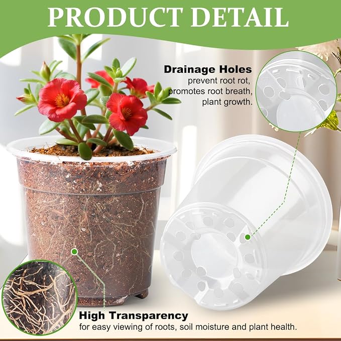 60 Pack 6 Inch Clear Nursery Pots - Image 3