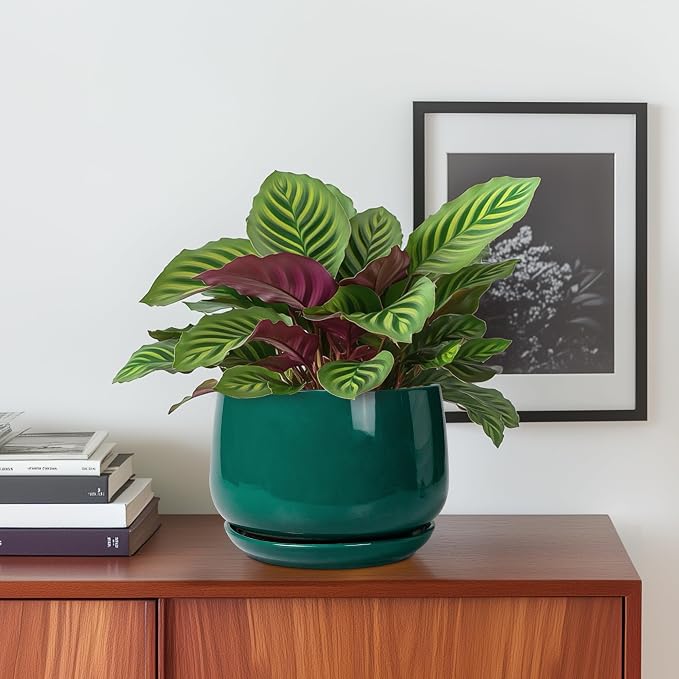 G EPGardening 6 Inch Plant Pot - Image 2