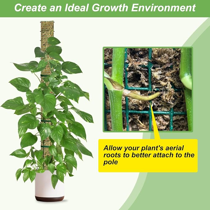 60"/40"/24" Metal Moss Pole, D Shape Sphagnum Moss Pole, Moss Poles - Image 6