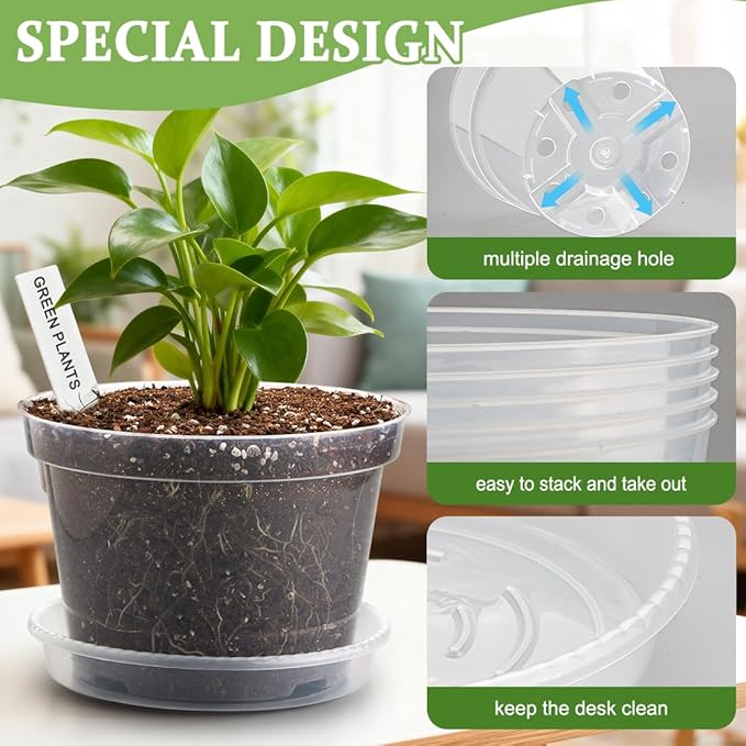12 Pack 10/8/6 Inch Clear Nursery Pots - Image 3