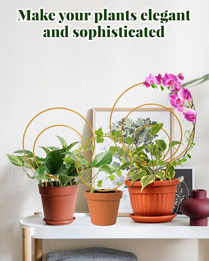 Unique Round Hoya Trellis, Garden Trellis Plant Support - Image 2