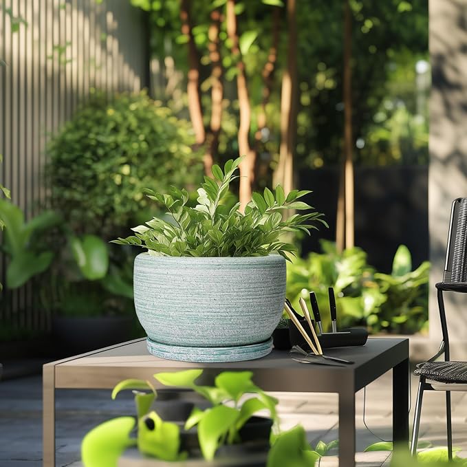 SQOWL Ceramic Pots for Plants - Image 5