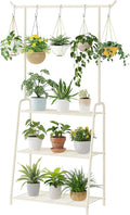 Plant Stand Indoor Outdoor, Metal Plant Stands by Kitsanery